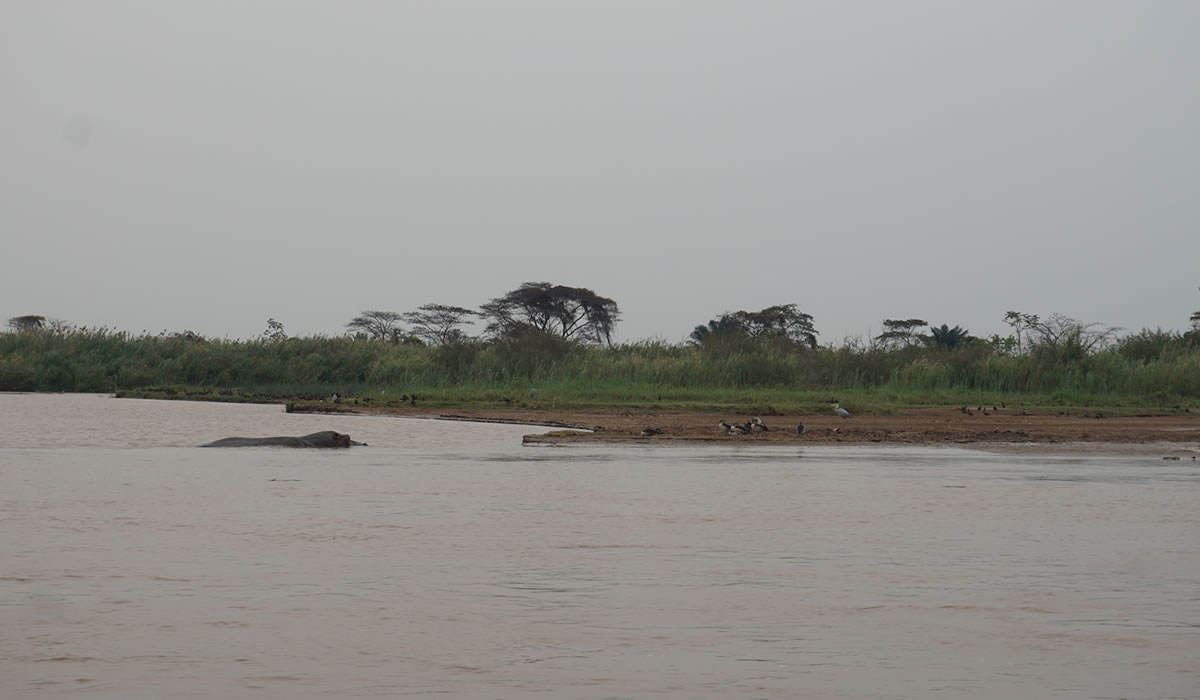 3 Days Kibira National Park Safari